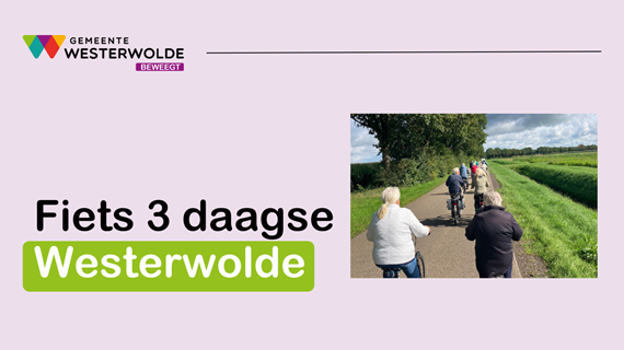 Nieuwsitems format website 